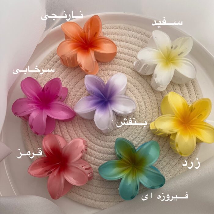 کلیپس پلومریا - Image 2