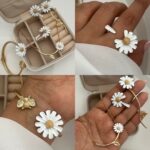 ست کامل بابونه جشنواره ای